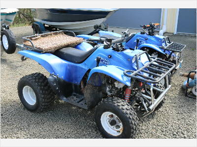 MAXFINE 250 ATV (2)