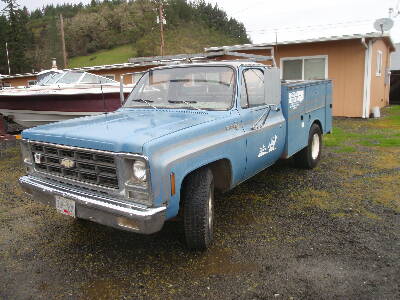 1979 CHEVROLET Scottsdale