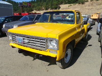 1976 CHEVROLET Pick Up